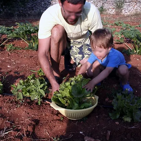 Alloggio per agriturismo Masseria Bellolio Carovigno